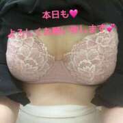 ヒメ日記 2026/06/03 13:09 投稿 立花夕香 五十路マダム 沼津店(カサブランカグループ)