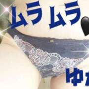 ヒメ日記 2026/06/29 22:45 投稿 立花夕香 五十路マダム 沼津店(カサブランカグループ)