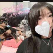 ヒメ日記 2026/08/11 10:36 投稿 きき G-SPOT