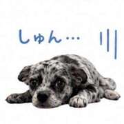ヒメ日記 2026/08/20 06:11 投稿 きき G-SPOT