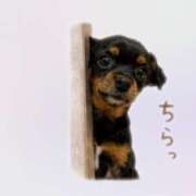 ヒメ日記 2026/08/20 22:18 投稿 きき G-SPOT