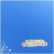 ヒメ日記 2026/05/18 09:01 投稿 小島ゆか マダム撫子(なでしこ)～麗しの楽園ソープ～