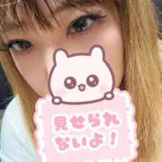 ヒメ日記 2026/09/14 20:02 投稿 うみ ぽっちゃり巨乳素人専門店ぷにめろ池袋店