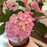 小和田(こわだ) 9日目♡ 鶯谷デッドボール