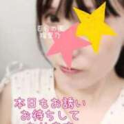 ヒメ日記 2026/08/19 18:36 投稿 瑠里乃(るりの) 人妻出逢い会 百合の園 品川店