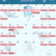 ヒメ日記 2026/08/03 09:37 投稿 ★あきら Le CELINU（ル・セリーヌ）