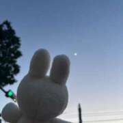 ヒメ日記 2026/05/24 21:46 投稿 はる★即イキ敏感な優等生JD★ Chloe錦糸町店 S級素人清楚系デリヘル