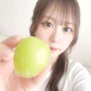ヒメ日記 2026/05/14 08:22 投稿 こまち 桃李（とうり）