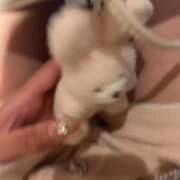 ヒメ日記 2026/09/01 23:16 投稿 Hime -ひめ- CLUB MERRY GO ROUND（メリーゴーランド）