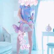 ヒメ日記 2026/08/23 00:12 投稿 るのん 西船人妻花壇