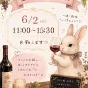 ヒメ日記 2026/05/11 17:46 投稿 はな～未経験✖ソムリエ～ 人妻ジャンキー