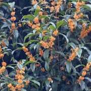 ヒメ日記 2026/09/20 09:21 投稿 ユリナ Club 帝