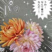 ヒメ日記 2026/10/14 21:15 投稿 ジェシカ Club 帝