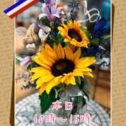 ヒメ日記 2026/08/12 08:34 投稿 モネ Club 帝