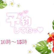 ヒメ日記 2026/09/02 08:50 投稿 モネ Club 帝