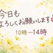 ヒメ日記 2026/10/23 08:50 投稿 モネ Club 帝