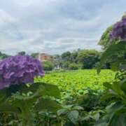 ヒメ日記 2026/06/18 08:42 投稿 アリサ Club 帝