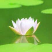 ヒメ日記 2026/06/30 08:35 投稿 アリサ Club 帝