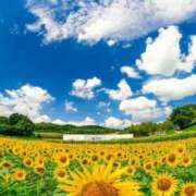 ヒメ日記 2026/08/06 08:37 投稿 アリサ Club 帝