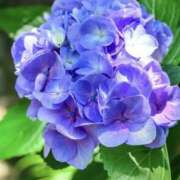 ヒメ日記 2026/06/09 11:46 投稿 ノア Club 帝