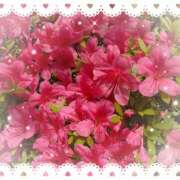 ヒメ日記 2026/05/20 14:47 投稿 ミヤビ Club 帝