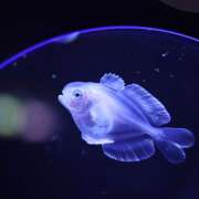 ヒメ日記 2026/06/09 23:48 投稿 ワカナ Club 帝