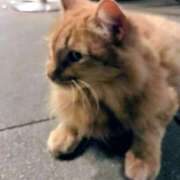 ヒメ日記 2026/06/08 09:20 投稿 アオイ Club 帝