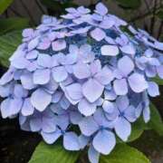 ヒメ日記 2026/06/08 13:56 投稿 アヤ Club 帝