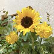 ヒメ日記 2026/08/31 11:21 投稿 カリン Club 帝