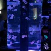 ヒメ日記 2026/05/25 18:17 投稿 みゆき Lolipop 横浜