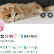 ヒメ日記 2026/07/10 01:42 投稿 あみな 金町ゴールド