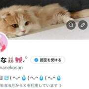 ヒメ日記 2026/07/10 01:56 投稿 あみな 金町ゴールド