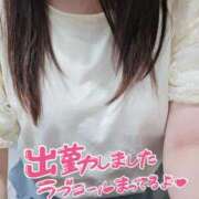 ヒメ日記 2026/07/16 14:31 投稿 れみ 奥様さくら難波店