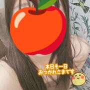 ヒメ日記 2026/08/12 20:02 投稿 れみ 奥様さくら難波店