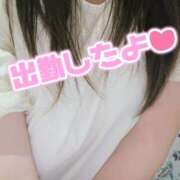 ヒメ日記 2026/08/13 14:18 投稿 れみ 奥様さくら難波店