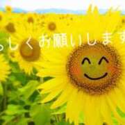 ヒメ日記 2026/07/24 21:03 投稿 結城 葵 こあくまな熟女たち徳島店(KOAKUMAグループ)