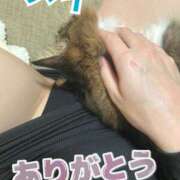 ヒメ日記 2026/05/09 23:28 投稿 萩山めい 五反田マーマレード(ユメオト)