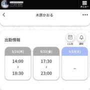 ヒメ日記 2026/05/19 21:04 投稿 木原かおる 月の真珠-五反田-