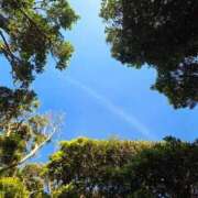 木原かおる 昨日の空🌈 月の真珠-五反田-
