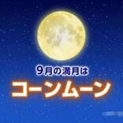 ヒメ日記 2026/09/27 09:04 投稿 木原かおる 月の真珠-五反田-