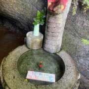 ヒメ日記 2026/10/02 22:48 投稿 浅田ねね ウフフな40。ムフフな50。。（横浜ハレ系）
