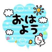 ヒメ日記 2026/06/23 07:35 投稿 みお 柏人妻花壇