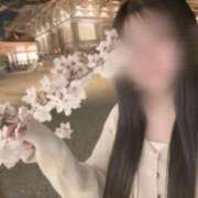 ヒメ日記 2026/05/14 04:25 投稿 ことり つまみぐいイケちゃいますよ！