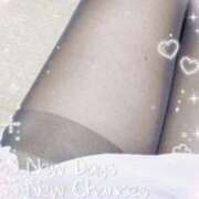 ヒメ日記 2026/06/14 09:11 投稿 くれは 熟女ばかり