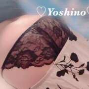 ヒメ日記 2026/05/16 16:17 投稿 よしの リッチドールフェミニン