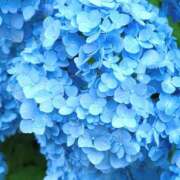 ヒメ日記 2026/05/31 20:05 投稿 きっか 横浜 風俗 妻がオンナに変わるとき