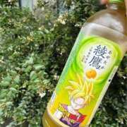 ヒメ日記 2026/08/11 11:13 投稿 赤坂はな THE痴漢電車.com