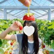 ヒメ日記 2026/08/18 14:23 投稿 如月　こはく 渋谷ベリー