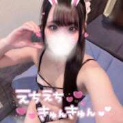 ヒメ日記 2026/05/16 11:30 投稿 う　さ アイドルソープ　萌えっ娘学園