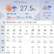 ヒメ日記 2026/08/28 11:14 投稿 鹿子（かのこ） ぎんねこ